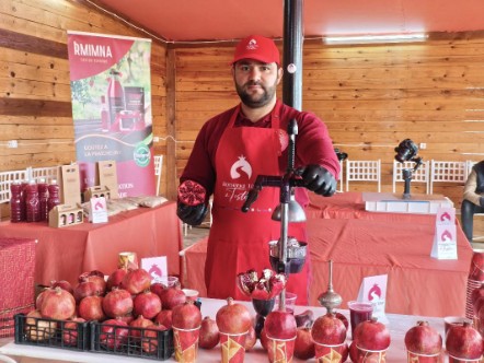 "رمانة تور في تستور": ثمرة الرمان في قلب عرض سياحي جديد